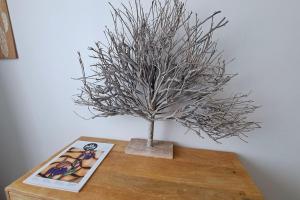 Fotografie z fotogalerie ubytování Lovely 32 square metre studio next to the beach v destinaci La Baule