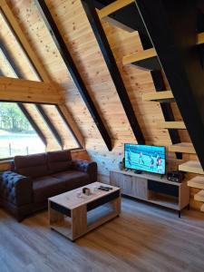 TV a/nebo společenská místnost v ubytování Boričje Hidden Paradise