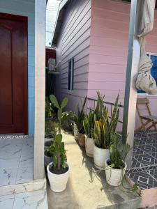 Gambar di galeri bagi Lazy Mango Home Stay di Phumĭ Poŭthĭ Mâ Srei