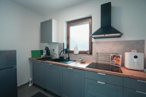 Η κουζίνα ή μικρή κουζίνα στο Apartman Simplicity