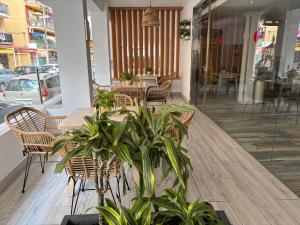 埃尔阿雷纳尔泰德酒店的相册照片