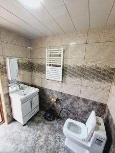 a bathroom with a toilet and a sink at Aksn new small villa in Gabala