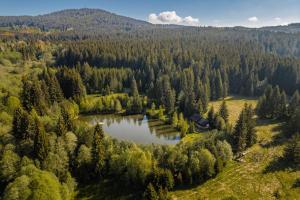 an aerial view of a lake in the middle of a forest at Šumavská Vlčice - Rybářský srub in Strážný