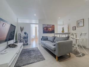 un soggiorno con un divano e una TV di Le Palais - Hypercentre a Grenoble