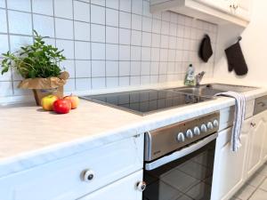 Dapur atau dapur kecil di Ruth Sonnenhut +27 gambar
