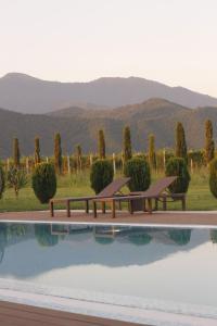 a pool with two benches next to a vineyard at Hotel Marani Sanavardo 