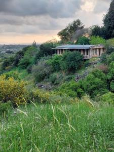 a house sitting on top of a hill at tranquil beautiful house כליל השחר- צימרים קסומים במיקום מרגיע למשפחות וזוגות in Clil +19 photos
