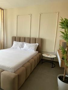 Una cama o camas en una habitación de Golem Apartament