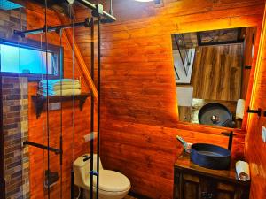 a bathroom with a toilet and a wooden wall at Glamping Hakuna Matata in Monguí +38 photos