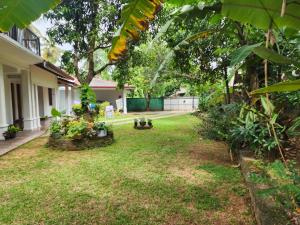 a yard of a house with trees and plants at Tiny Villa Homestay - Only For Foreign Bookings in Kurunegala