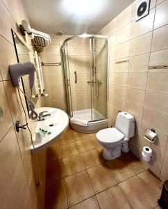 a bathroom with a shower and a toilet and a sink at Gościniec Sucholeski in Suchy Las +32 photos