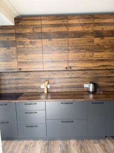 Billede fra billedgalleriet på Cozy View & miRent i Chişinău