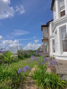 Un jardín frente a una casa con flores moradas. en Mount Royal - Penzance, en Penzance