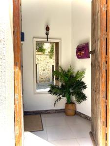Fotografie z fotogalerie ubytování Casa Rural la Plaza v destinaci Almoharín