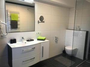 a bathroom with a sink and a toilet and a mirror at Hotel Erlebniswelt Stocker in Schladming