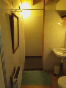 a bathroom with a sink and a shower and a toilet at Boerderij De Diek'n in Zeerijp +54 photos