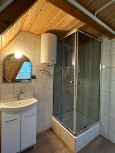a bathroom with a shower and a sink at Bieszczady Pod Dębem Solina in Solina +108 photos