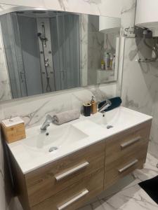 a bathroom with a sink and a large mirror at Studio Cosy - Cœur de Saint-Vallier in Saint-Vallier +6 photos