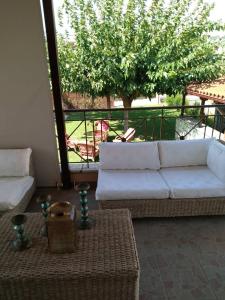 Φωτογραφία από το άλμπουμ του Spiti Loggos στον Λόγγο +14 φωτογραφίες