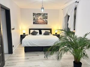 Fotografie z fotogalerie ubytování Business & Relax House v destinaci Jejkowice