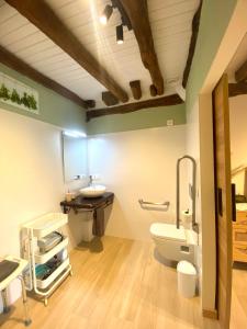 a bathroom with a toilet and a sink at Country loft Zarautz- San Sebastián in Aia