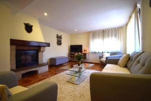 a living room with a couch and a fireplace at Le Courlis du Ried in Grussenheim