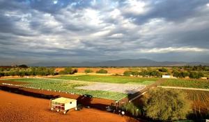 une ferme avec un champ de cultures et un ciel nuageux dans l'établissement Lush 25 Acre Farm Stay I, Play & Serenity, à Al Ḩamrānīyah