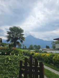 a fence in front of a garden with a palm tree at La Casetta al Lago in Sorico
