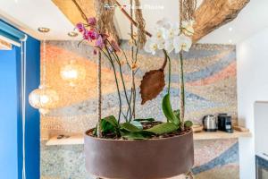 a potted plant sitting on top of a table at Nidoo TerreMarine in Riomaggiore