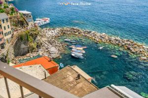 an aerial view of a harbor with boats in the water at Nidoo TerreMarine in Riomaggiore
