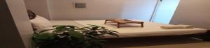 a bed with a table and a plant in a room at San Antonio's Place Suites in Manila