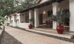 a house with two palm trees inront of it at The Island Sanctuary Rock Pool Villa in Chorao