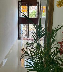 a potted plant sitting in front of a door at Raahee Homestay in Varanasi