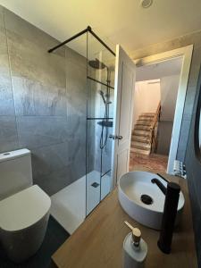 a bathroom with a sink and a toilet and a shower at Chancelas b in Combarro