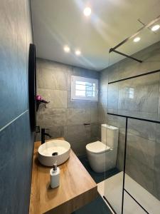 a bathroom with a toilet and a sink and a shower at Chancelas b in Combarro +43 photos