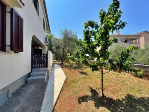 Zahrada ubytování Apartment Dunato I