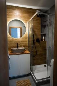 a bathroom with a sink and a mirror at Apartmán BeVi in Loučná nad Desnou +33 photos