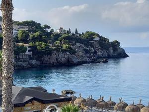 Un grupo de pájaros de pie en una playa cerca del agua. en Comeback A un Suspiro del Mar, en La Herradura