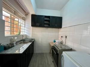 a kitchen with black cabinets and a sink and a stove at Creed Apartments in Kampala