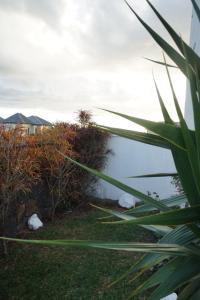 Gallery image of AlexJ in Belle Isle