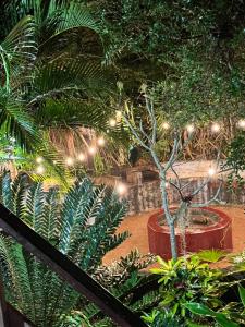 Moz Inn - Coconut View Resort 야외 정원