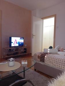 a person laying on a bed in a living room with a laptop at Apartman Tanja in Arandelovac