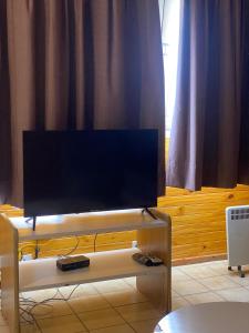 TV a/nebo společenská místnost v ubytování Acogedor alojamiento Las Leñas