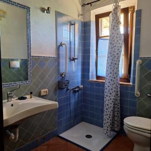 a blue tiled bathroom with a shower and a sink at Agriturismo Salaiolo 176 in Scansano