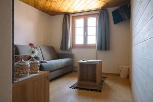 TV a/nebo společenská místnost v ubytování Hotel Aletsch