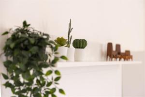 Fotografie z fotogalerie ubytování IseoLakeRental - Casa Pluto v destinaci Lovere