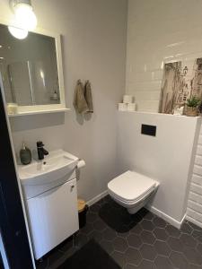 a bathroom with a white toilet and a sink at Luna Apartments Estonia in Tallinn +11 photos