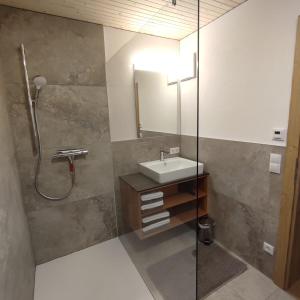 a bathroom with a sink and a shower at Weitblickhof Roth in Sulzberg +25 photos