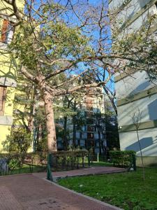 a tree in front of a building with benches at Un lugar cerca de todo in Buenos Aires