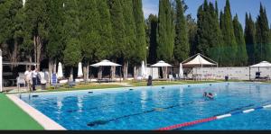 a swimming pool with two people in the water at Aurelia Green Suite in Rome